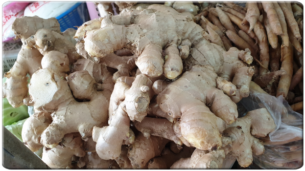 Ingwer Ginger